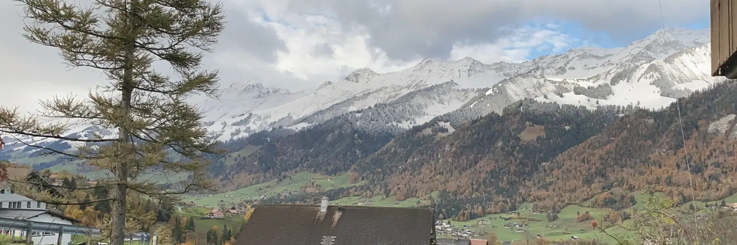 Blick aus dem Fenster in Scharnachtal auf die Berge, rechts der Niesen