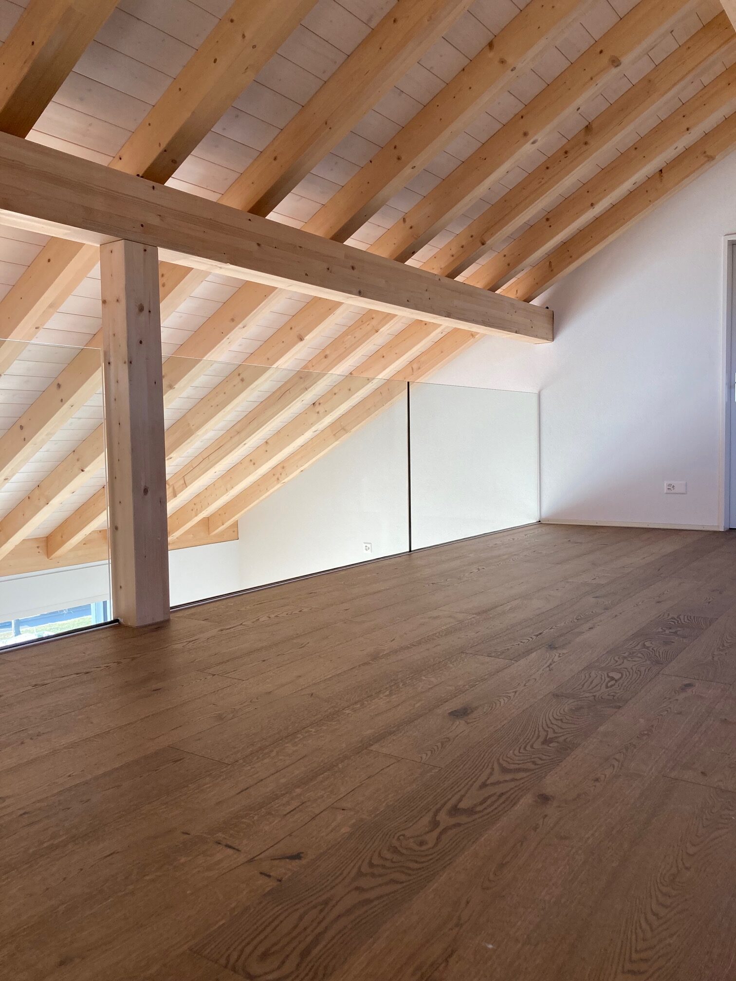 Glasgeländer Balkon
